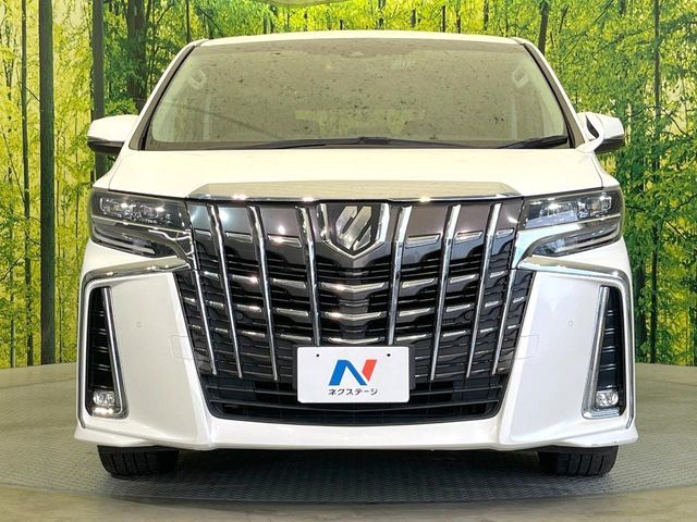 TOYOTA ALPHARD 2019 Image 31