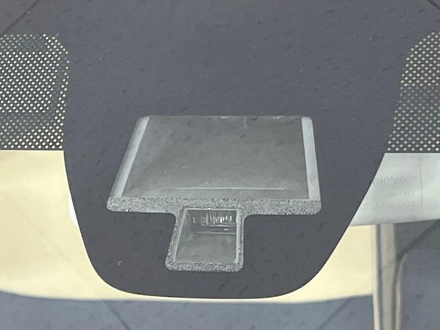 SUZUKI ALTO LAPIN 2019 Image 31