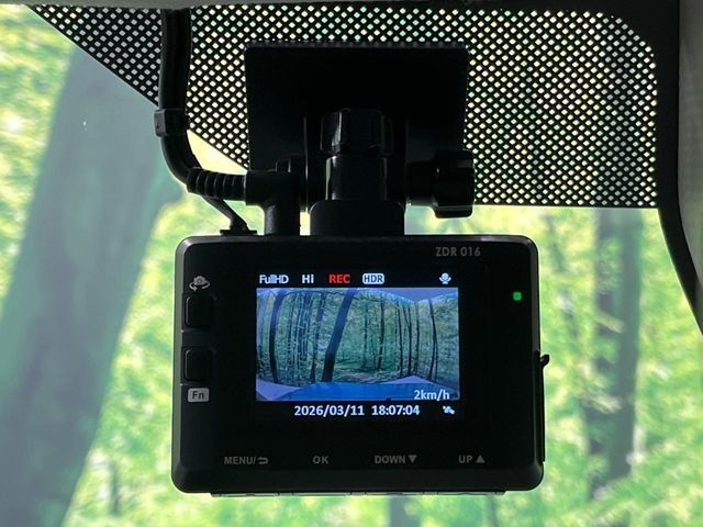 SUZUKI ALTO LAPIN 2019 Image 31