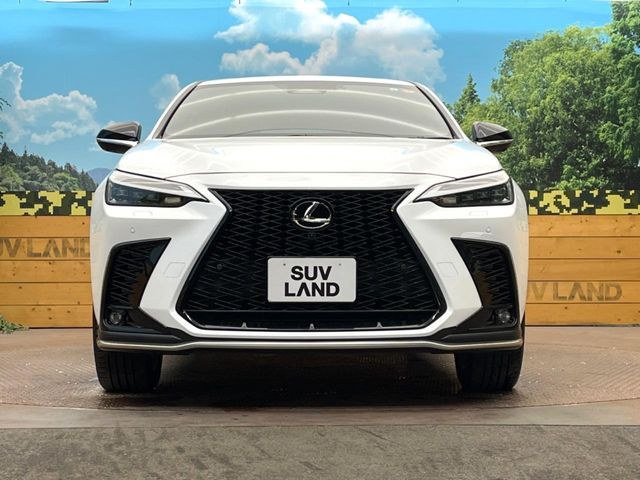 TOYOTA LEXUS NX350H 2023 Image 31