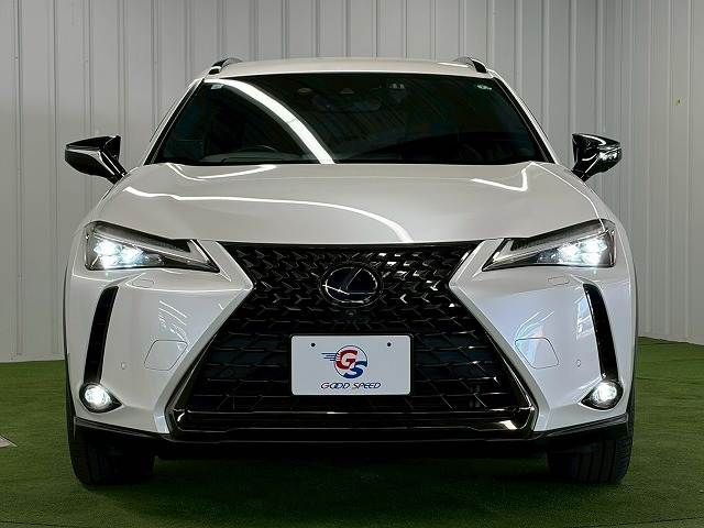 TOYOTA LEXUS UX250H 2020 Image 31