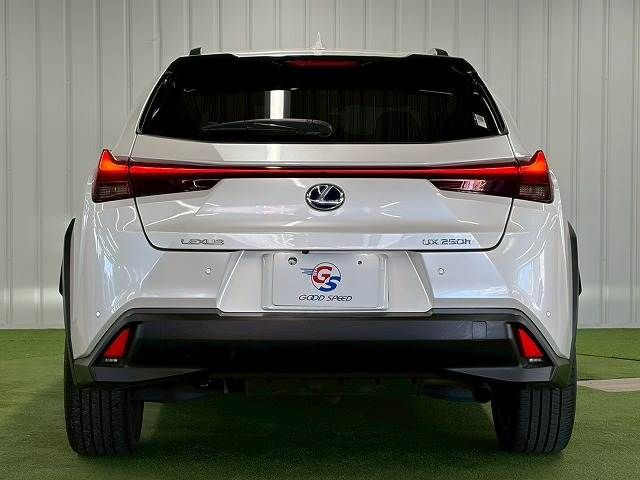 TOYOTA LEXUS UX250H 2020 Image 31