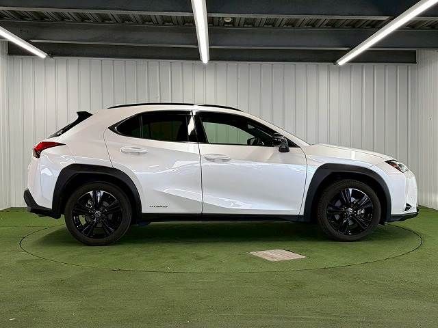 TOYOTA LEXUS UX250H 2020 Image 31