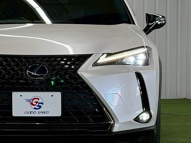 TOYOTA LEXUS UX250H 2020 Image 31