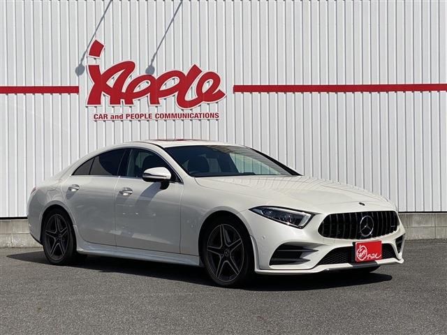 MERCEDES BENZ CLS CL 2019 Image 31