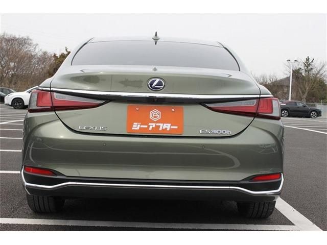 TOYOTA LEXUS ES300H 2019 Image 31