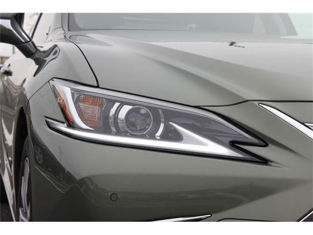 TOYOTA LEXUS ES300H 2019 Image 31