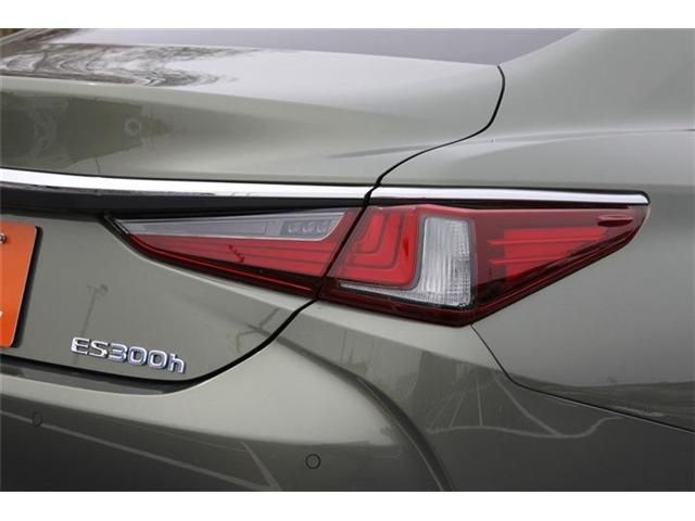 TOYOTA LEXUS ES300H 2019 Image 31