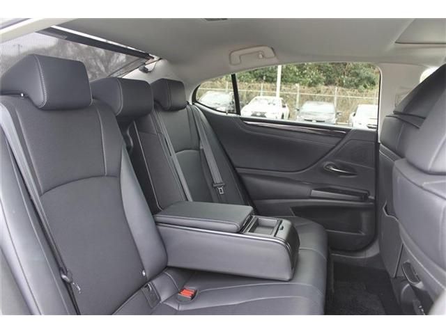 TOYOTA LEXUS ES300H 2019 Image 31