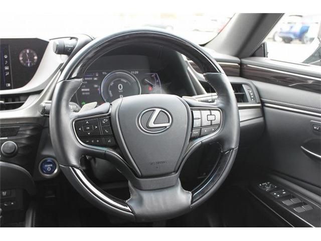 TOYOTA LEXUS ES300H 2019 Image 31