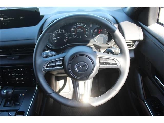 MAZDA MX-30 2023 Image 31