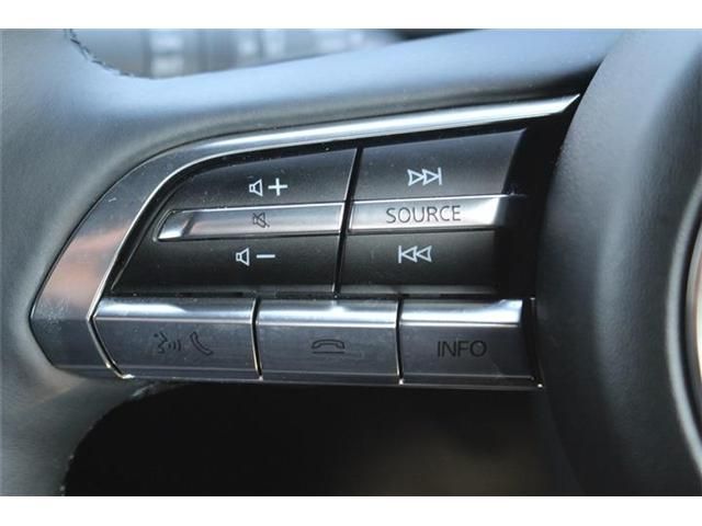 MAZDA MX-30 2023 Image 31