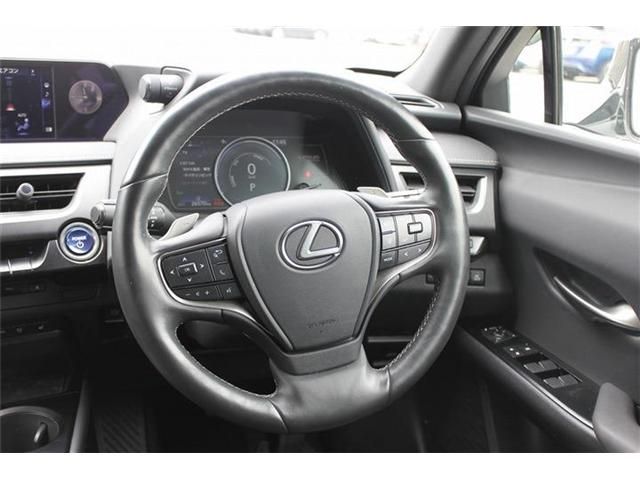 TOYOTA LEXUS UX300E 2023 Image 31