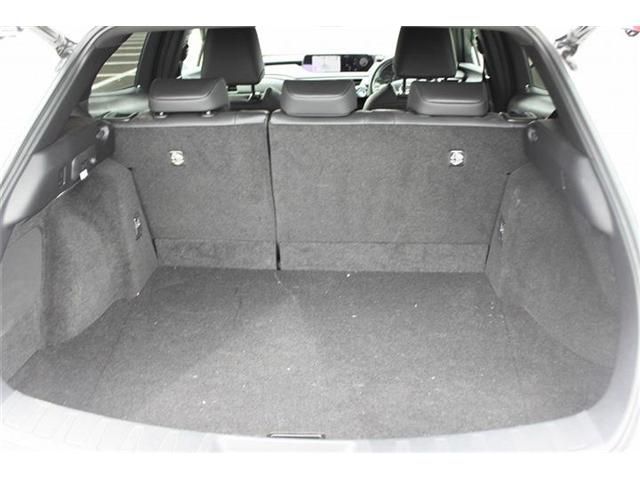 TOYOTA LEXUS UX300E 2023 Image 31