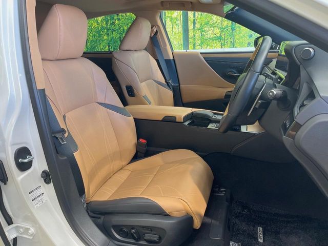 TOYOTA LEXUS ES300H 2022 Image 31