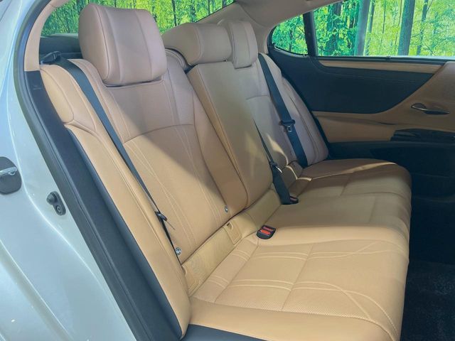 TOYOTA LEXUS ES300H 2022 Image 31