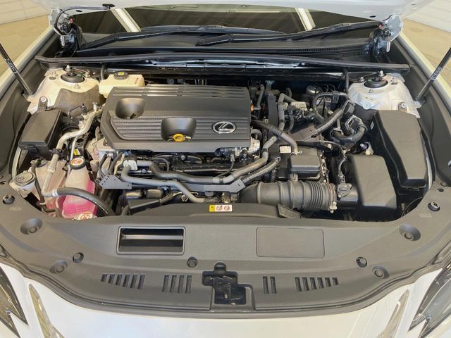 TOYOTA LEXUS ES300H 2022 Image 31