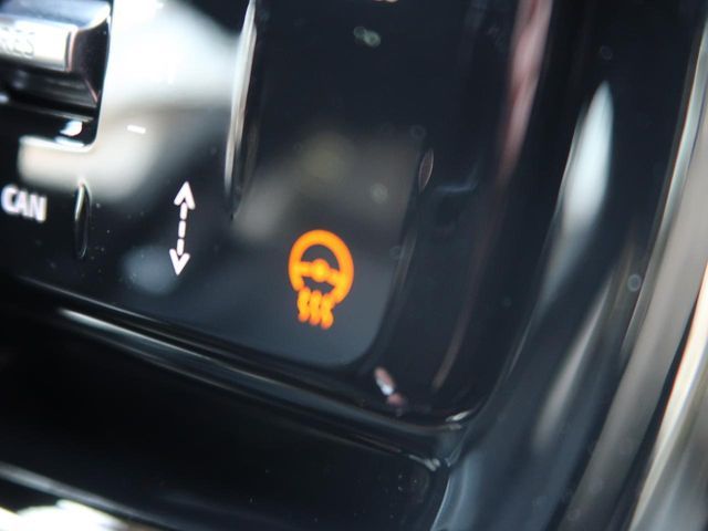 ROVER RANGE  EV 2025 Image 31