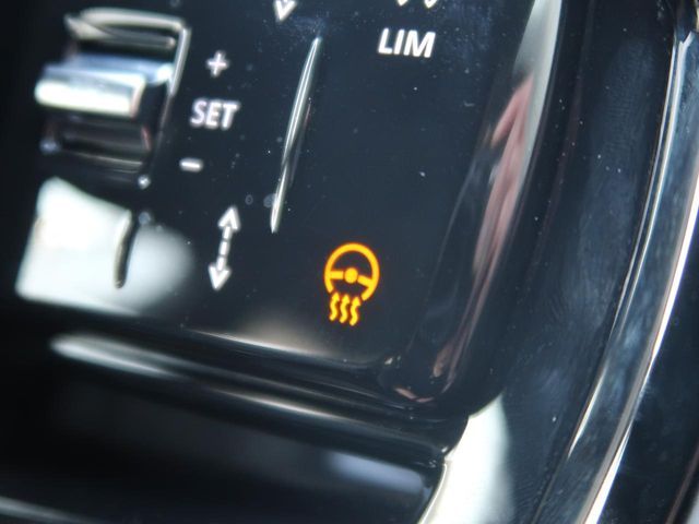 ROVER RANGE  EV 2024 Image 31