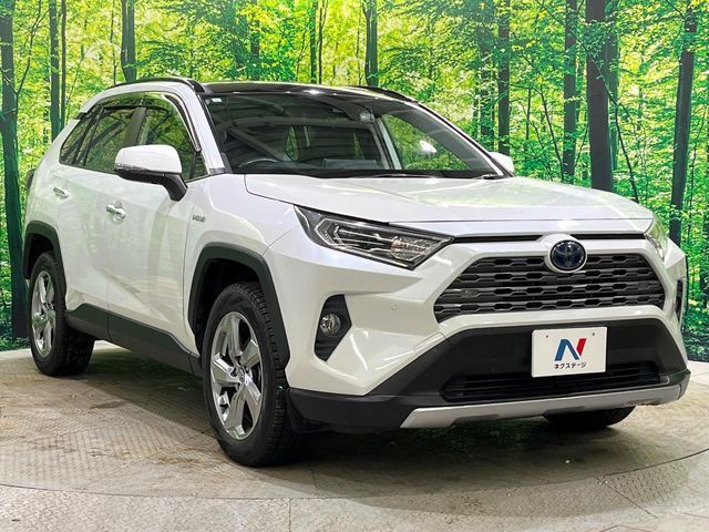 TOYOTA RAV4 HYBRID 4WD 2019 Image 31