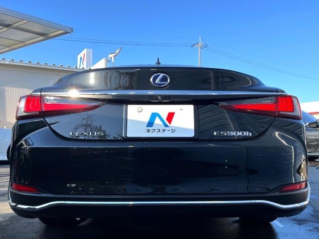 TOYOTA LEXUS ES300H 2019 Image 31