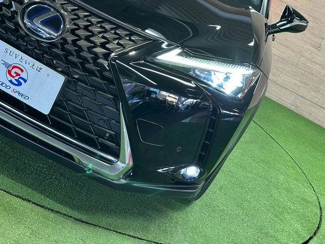 TOYOTA LEXUS UX250H 2019 Image 31