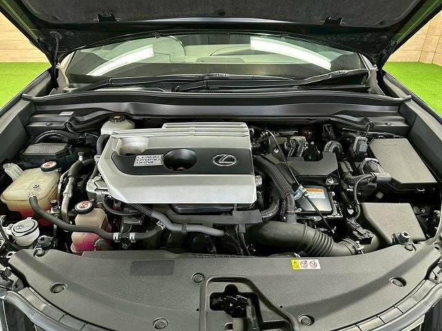 TOYOTA LEXUS UX250H 2019 Image 31