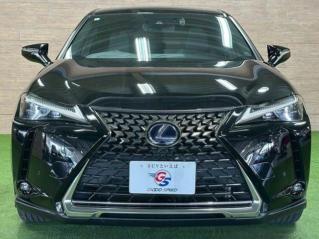 TOYOTA LEXUS UX250H 2019 Image 31