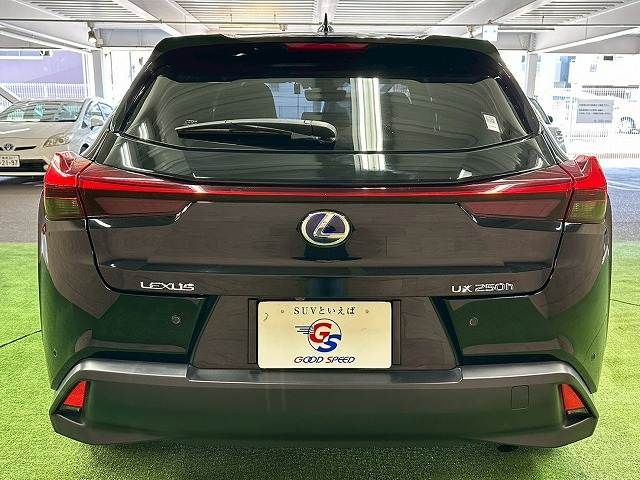 TOYOTA LEXUS UX250H 2019 Image 31