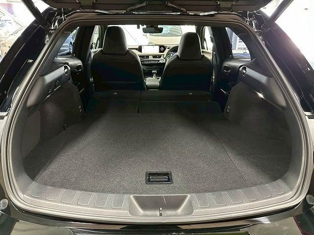 TOYOTA LEXUS UX250H 2019 Image 31