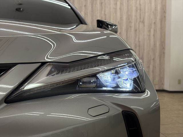 TOYOTA LEXUS UX250H AWD 2019 Image 31