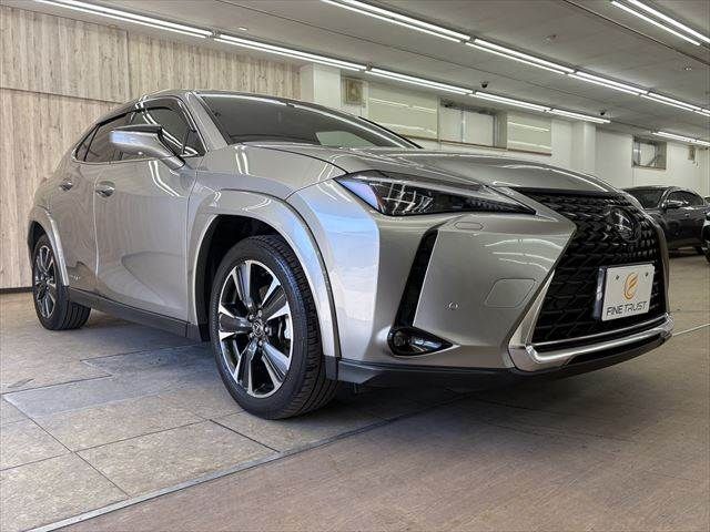 TOYOTA LEXUS UX250H AWD 2019 Image 31