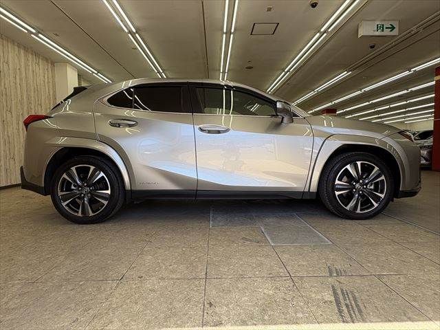 TOYOTA LEXUS UX250H AWD 2019 Image 31