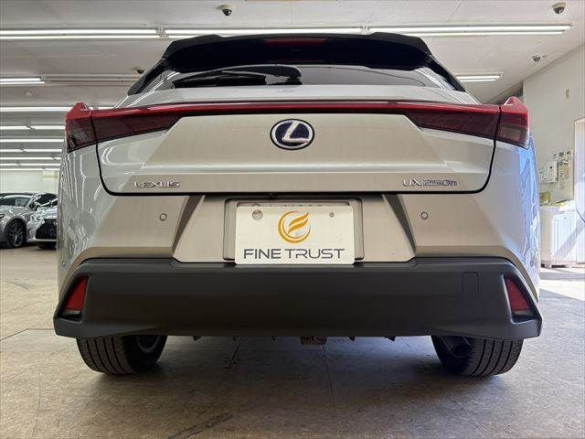 TOYOTA LEXUS UX250H AWD 2019 Image 31