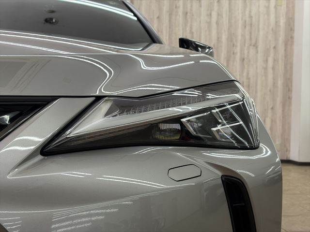 TOYOTA LEXUS UX250H AWD 2019 Image 31