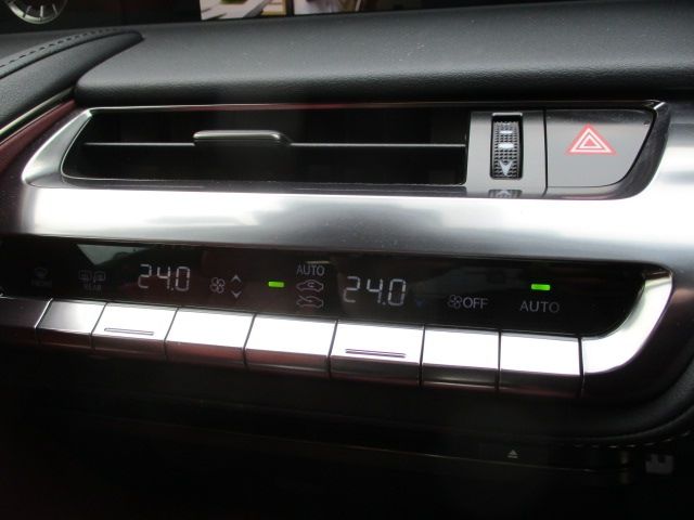 TOYOTA LEXUS LC500 2021 Image 31