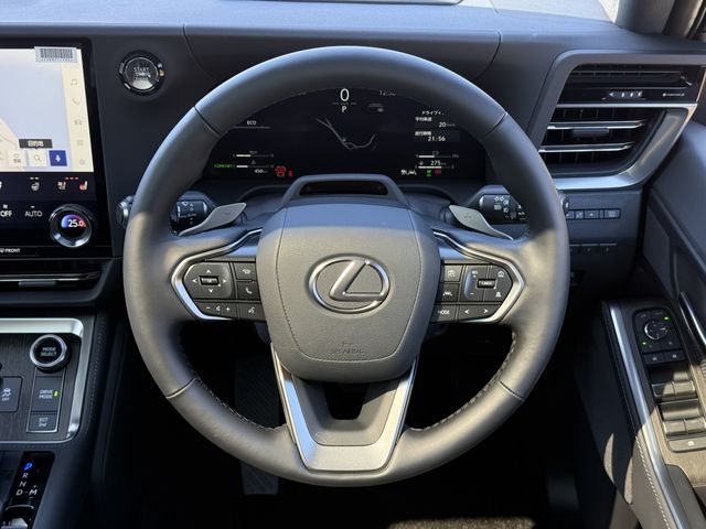 TOYOTA LEXUS GX550 2025 Image 31