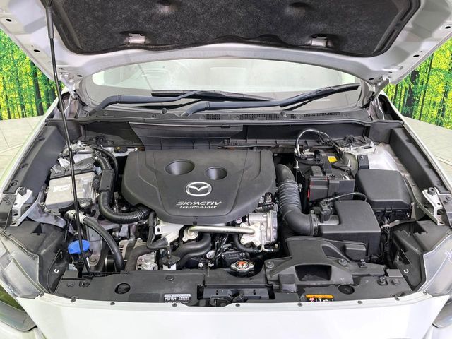 MAZDA CX-3 2016 Image 31