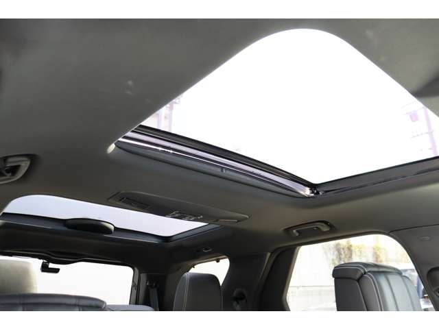 ROVER DISCOVERY 2024 Image 31