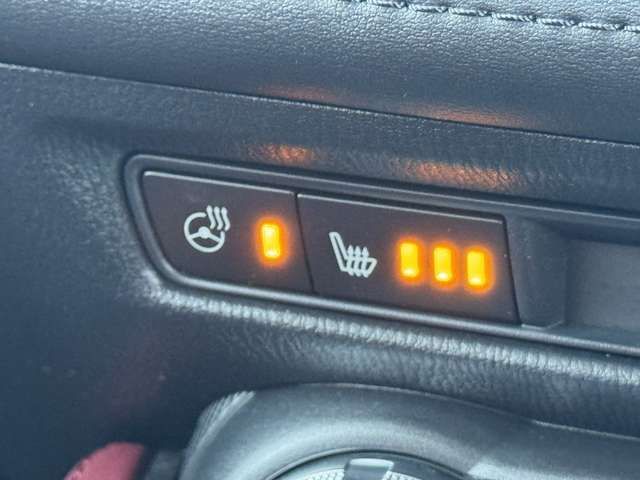 MAZDA CX-3 2017 Image 31