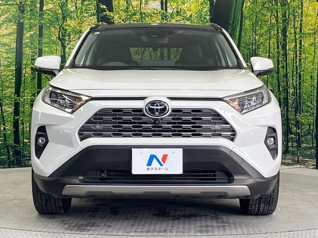 TOYOTA RAV4 4WD 2023 Image 31