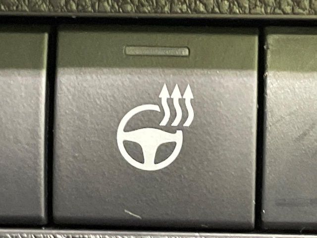 TOYOTA RAV4 4WD 2023 Image 31