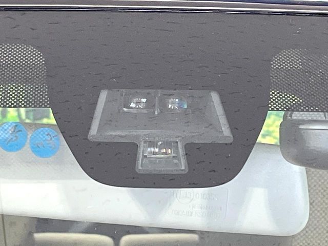 SUZUKI ALTO LAPIN 2019 Image 31