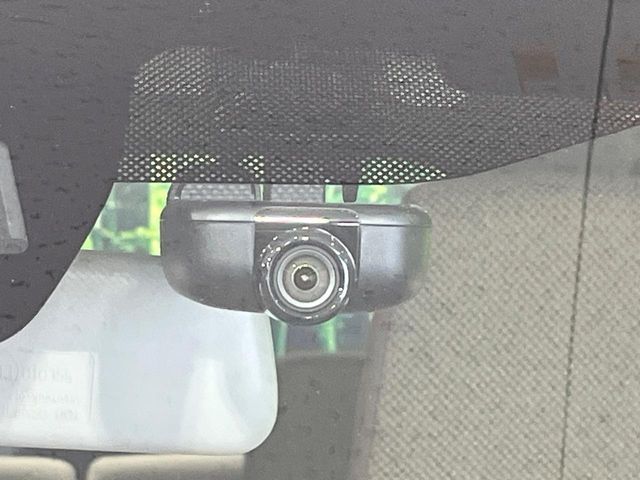 SUZUKI ALTO LAPIN 2019 Image 31