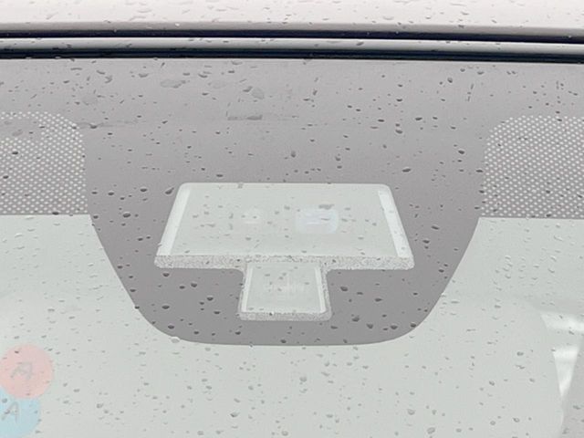 SUZUKI ALTO LAPIN 2019 Image 31