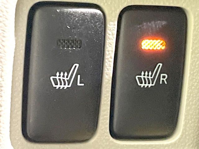 DAIHATSU CAST STYLE 2019 Image 31