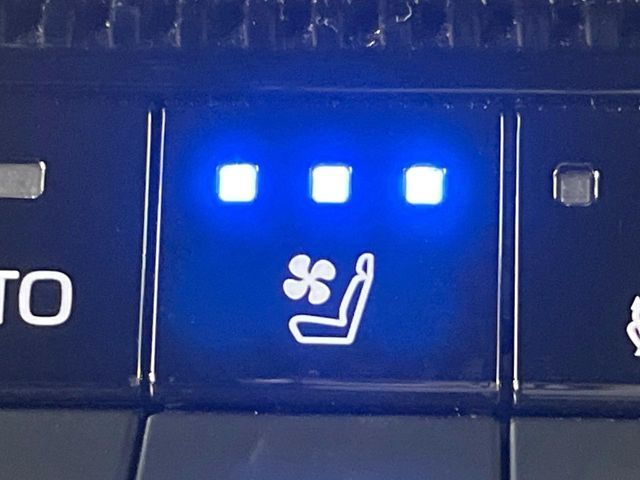 TOYOTA LANDCRUISER 250 2024 Image 31