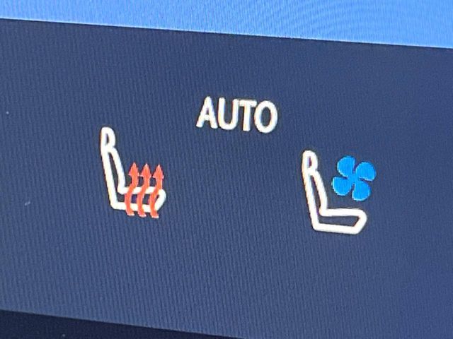 TOYOTA LEXUS NX350H 2024 Image 31