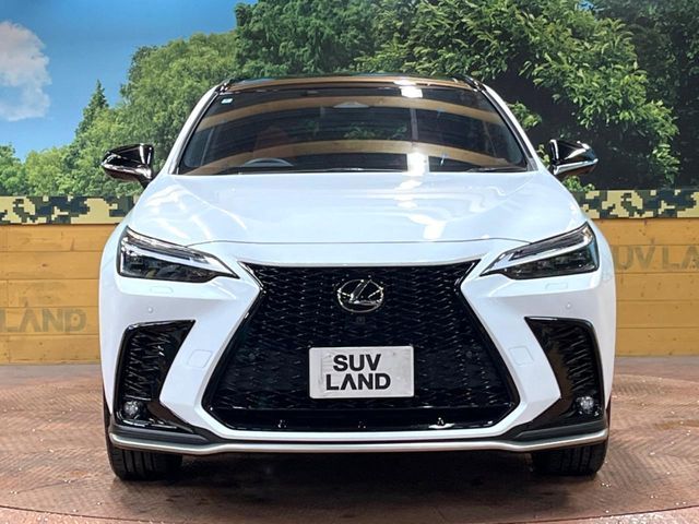 TOYOTA LEXUS NX350H 2024 Image 31