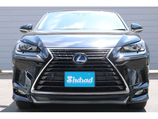 TOYOTA LEXUS NX300H 2018 Image 31